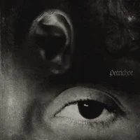 Zzzzz 1737318238petrichor — The 2024 Listening Project option 409