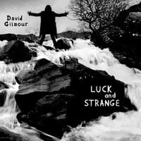 Zzzzz 1737604103luckandstrange — The 2024 Listening Project option 438