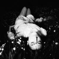 Zzzzz 1738018967thedeathofsummerandotherpromises — The 2024 Listening Project option 450