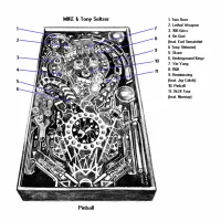Zzzzz 1743467978pinball — The 2024 Listening Project option 493