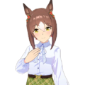 Finemotion — All Uma Musume casual outfits (current as of august 2025) option 27