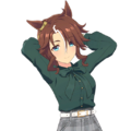 Mejirpalmer — All Uma Musume casual outfits (current as of august 2025) option 63