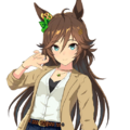 Mrcb — All Uma Musume casual outfits (current as of august 2025) option 66