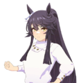 Naritabrian — All Uma Musume casual outfits (current as of august 2025) option 68