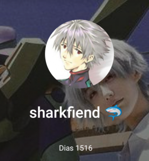 Screenshot20240917 1429392 — PtB option 4