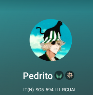 Screenshot20240921 2156412 — PtB option 206