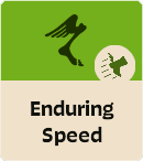 Valve's Deadlock Items (7/30/2024) — option 61