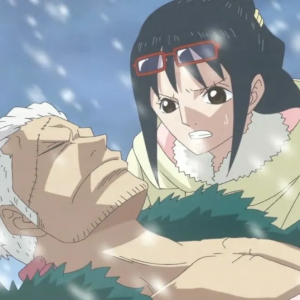 Zzzzz 1745889287screenshot 2025 04 28 211026 — One Piece Ship Tierlist option 54