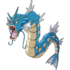 Water Type Pokemon (Gen 1-9) — option 33