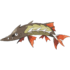 Zzzzz 17242830641000004395 — Water Type Pokemon (Gen 1-9) option 142