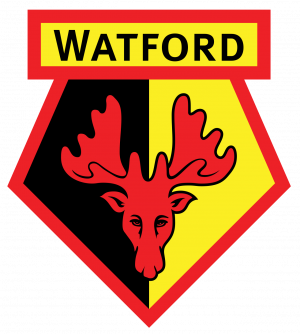Zzzzz 17755587341000073750 — 100+ English football clubs ranking! (25/26) option 41