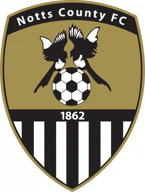 Zzzzz 17755589281000073808 — 100+ English football clubs ranking! (25/26) option 86