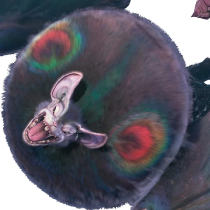 Zzzzz 172487093833 — Monster Hunter: Flying Wyverns option 33