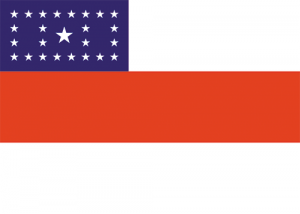 Amazonas — Bandeiras dos estados brasileiros (+DF) 2024 option 4