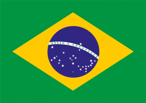 Bandeira Nacional Brasil — Bandeiras dos estados brasileiros (+DF) 2024 option 6
