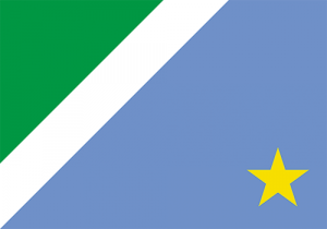 Mato Grosso Do Sul — Bandeiras dos estados brasileiros (+DF) 2024 option 12