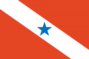 Para — Bandeiras dos estados brasileiros (+DF) 2024 option 15