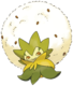 Pokemon grass type — option 101