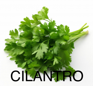 Img2536png — herbs and spices option 2