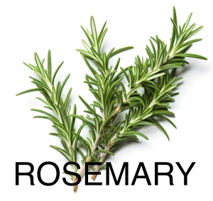 Img2537png — herbs and spices option 3