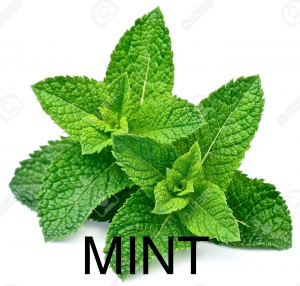 Img2540png — herbs and spices option 6