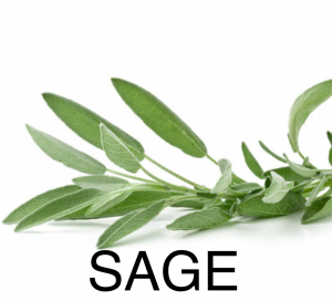 Img2541png — herbs and spices option 7