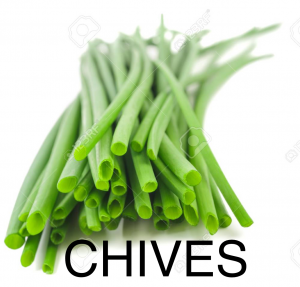 Img2542png — herbs and spices option 8