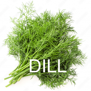 Img2543png — herbs and spices option 9