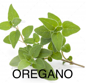 Img2544png — herbs and spices option 10