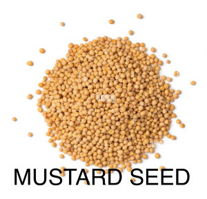 Img2564png — herbs and spices option 30