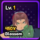 Zzzzz 1727370858blossom — Roblox - Anime Vanguards option 44