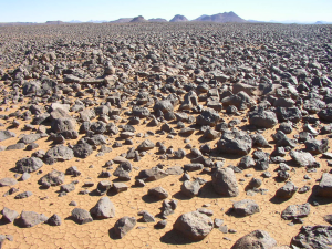 Reg — Types of Erosion option 15