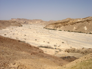 Types of Erosion — option 21