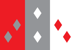 Zzzzz 1731319784img2409 — Ultimate Flag option 700