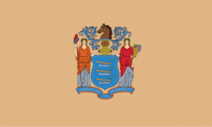 Zzzzz 1731319784img2424 — Ultimate Flag option 716