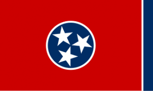 Zzzzz 1731319784img2437 — Ultimate Flag option 729