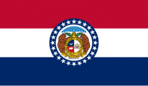 Zzzzz 1731319785img2445 — Ultimate Flag option 737