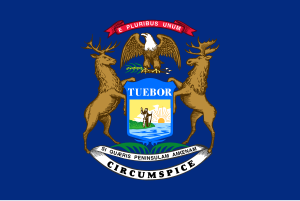 Zzzzz 1731319785img2447 — Ultimate Flag option 739