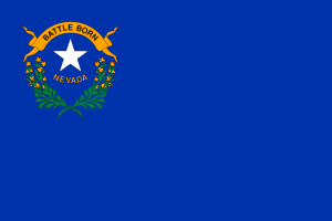 Zzzzz 1731319785img2457 — Ultimate Flag option 751