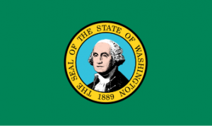 Zzzzz 1731319785img2463 — Ultimate Flag option 755