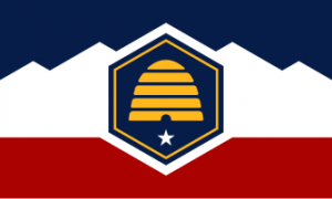 Zzzzz 1731319785img2466 — Ultimate Flag option 758