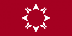 Zzzzz 1731319785img2474 — Ultimate Flag option 766
