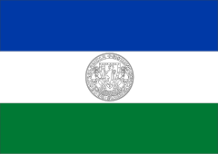 Zzzzz 1731319785img2494 — Ultimate Flag option 785