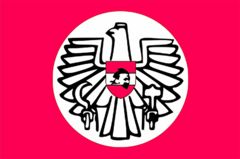 Zzzzz 1731319785img2495 — Ultimate Flag option 786