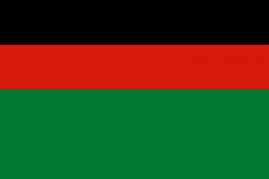 Zzzzz 1731320331img2542 — Ultimate Flag option 832