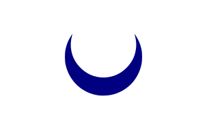 Zzzzz 1731320331img2569 — Ultimate Flag option 859