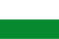 Zzzzz 1731321594img2620 — Ultimate Flag option 1081