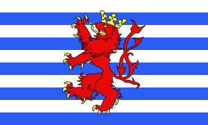 Zzzzz 1731321594img2638 — Ultimate Flag option 1099
