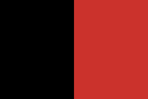 Zzzzz 1731321595img2639 — Ultimate Flag option 1097