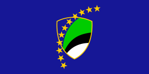 Zzzzz 1731321595img2646 — Ultimate Flag option 1106